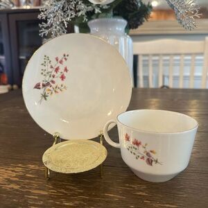 Bareuther Waldsassen Germany Porcelain Tea Cup& Saucer Vintage Floral Bone China